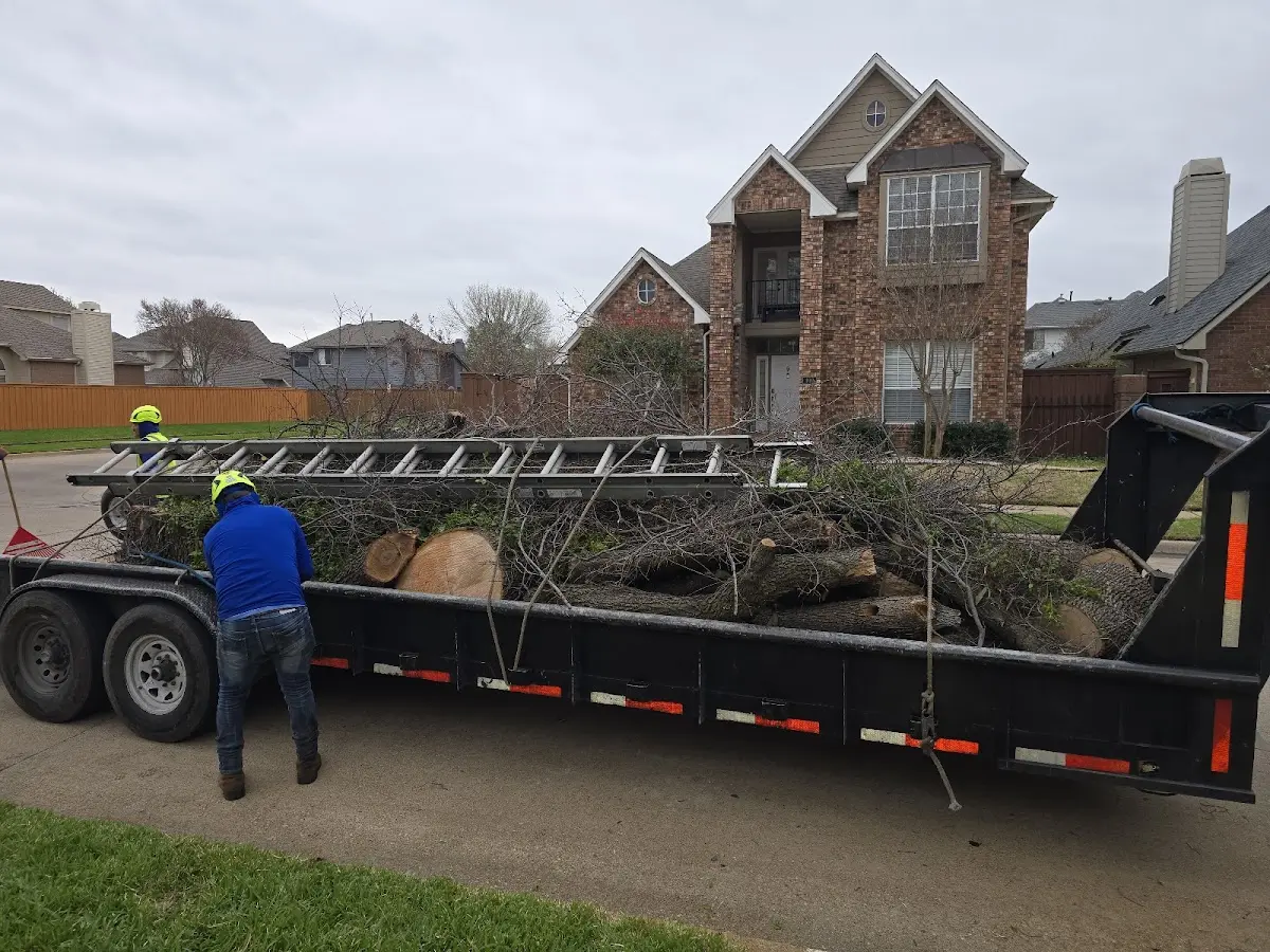 Expert Crown Reduction with proper safety equipment in Fair Haven